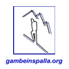 Logo di: Gambeinspalla