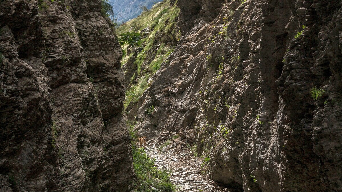 L'imbocco delle Gorge della Reina
