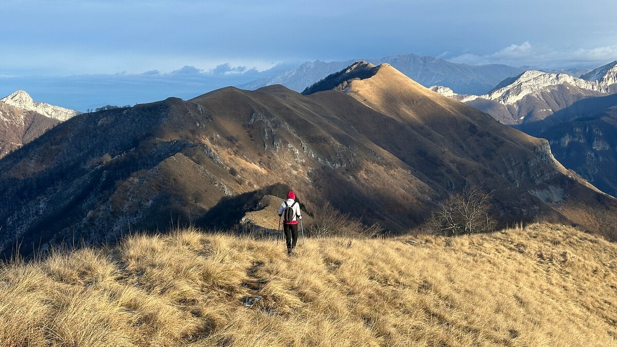 Panorama dai pressi di Cima Cialancia